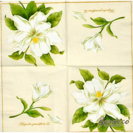 Serwetka do decoupage firmy PAW magnolia 33x33cm